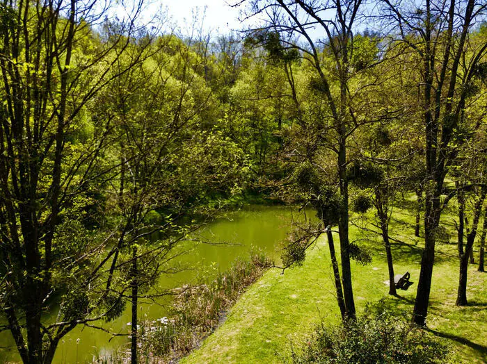 Visite guidée au Bois Noir : sortie nature et patrimoine Bois Noir Le Gua