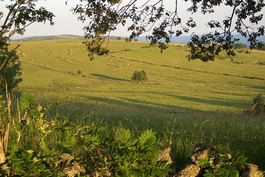 Itinéraire motorisé de découverte "la Trans-Aubrac" Saint Geniez d'Olt et d'Aubrac Occitanie