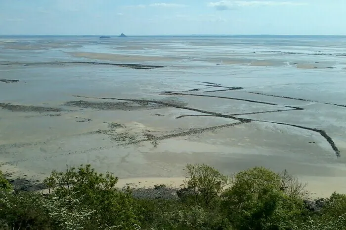 Visite guidée : à la découverte des pêcheries de Saint-Jean-le-Thomas Cale de Saint-Jean-le-Thomas Saint-Jean-le-Thomas