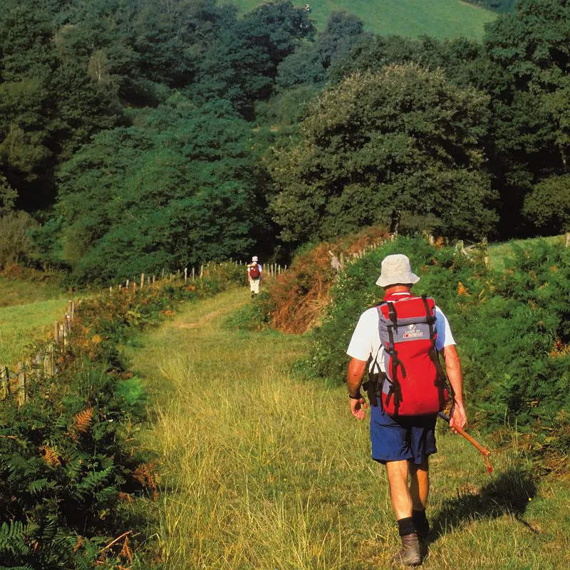 SUR LES TRACES DES ALAMBICS Eauze Occitanie