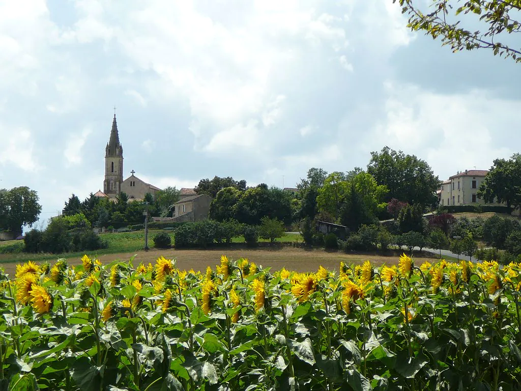 LA VALLÉE DE L'AUVIGNON Condom Occitanie