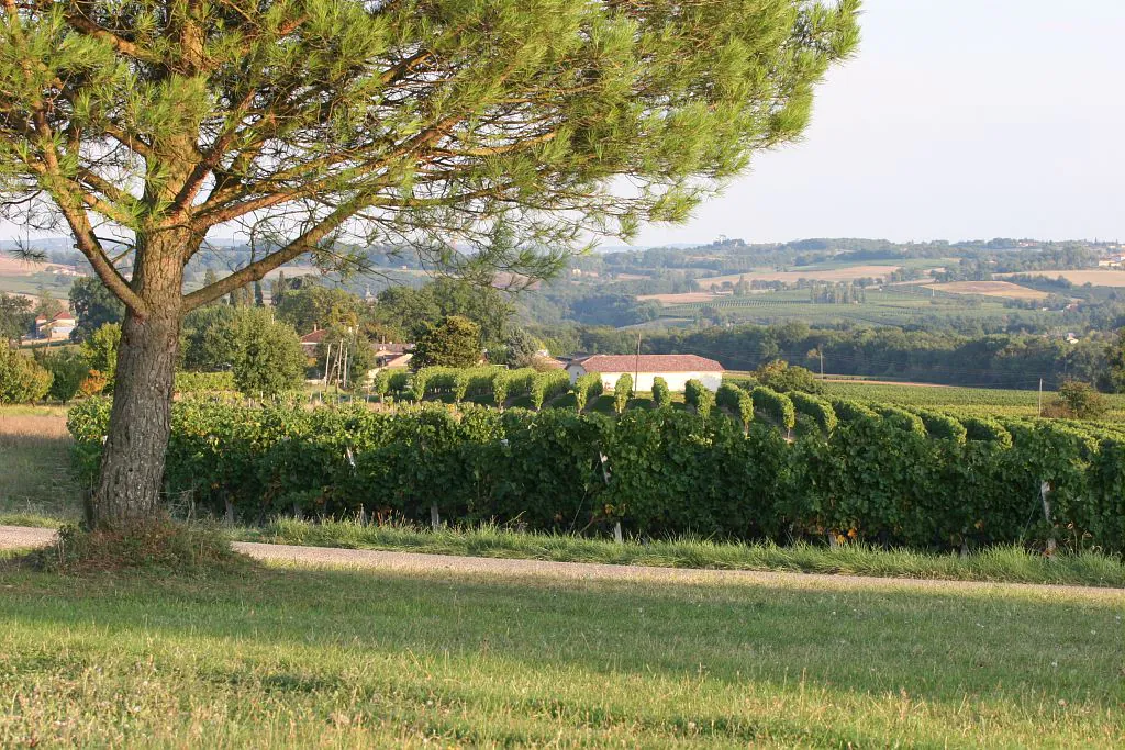 DE FERMES EN CHÂTEAUX Condom Occitanie