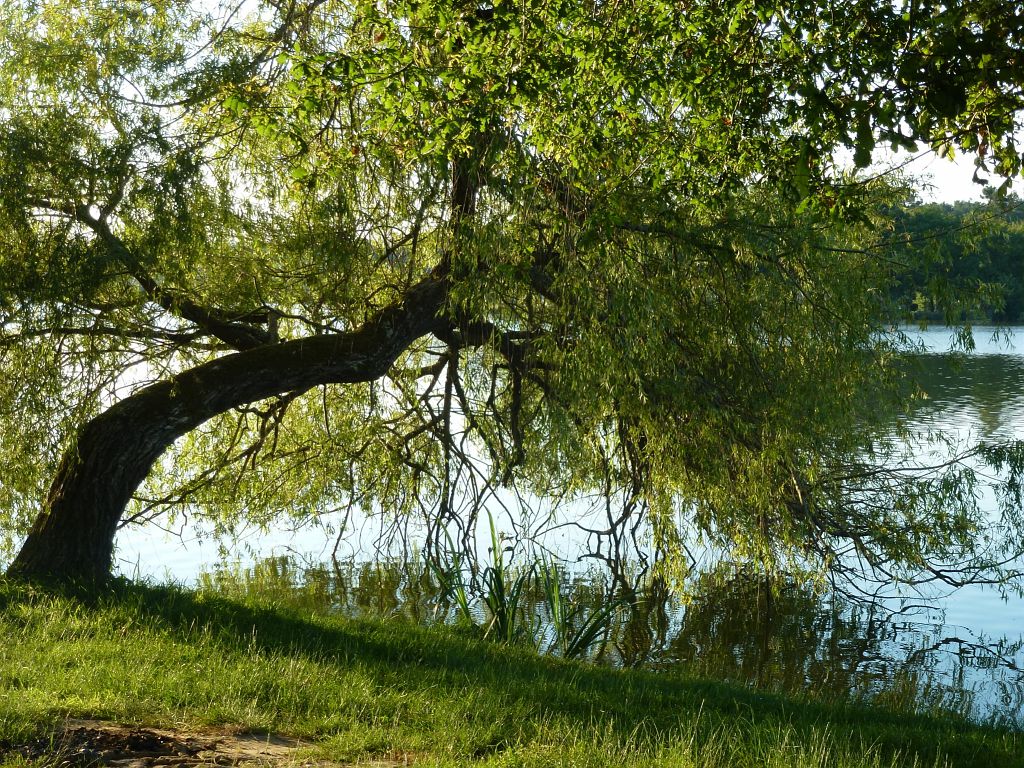 LE TOUR DU LAC DE L'UBY Eauze Occitanie