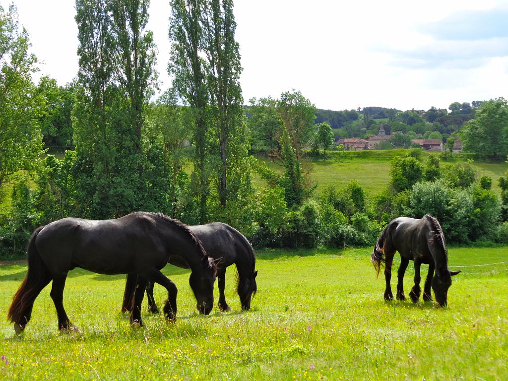 LE GERS À CHEVAL DE SAMATAN À SIMORRE Pellefigue Occitanie