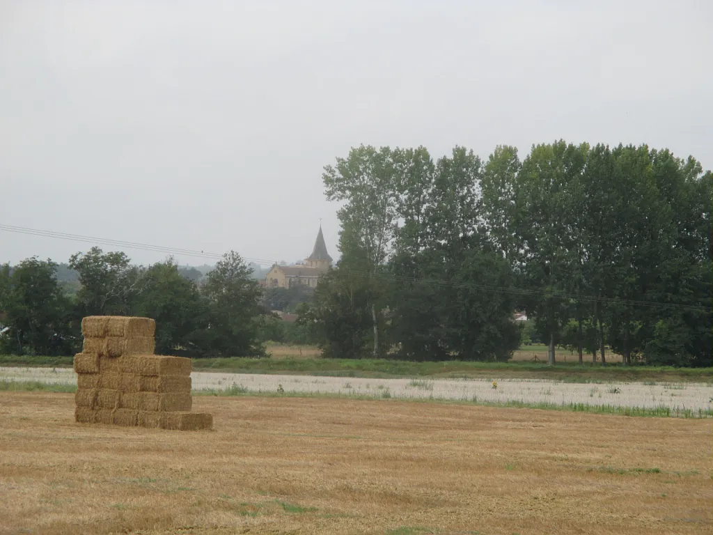 CHEMIN DES COTEAUX DE BELLEGARDE Masseube Occitanie