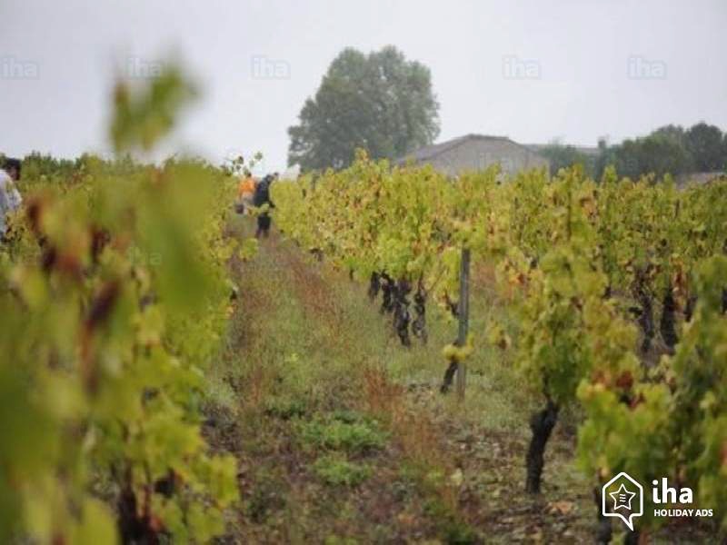 SUR LES HAUTEURS DE CAMPAGNE D'ARMAGNAC Cazaubon Occitanie