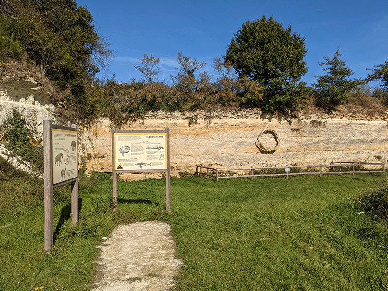 voyage au coeur des faluns de Touraine