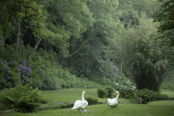 Visite guidée du parc Château de Chantore Bacilly