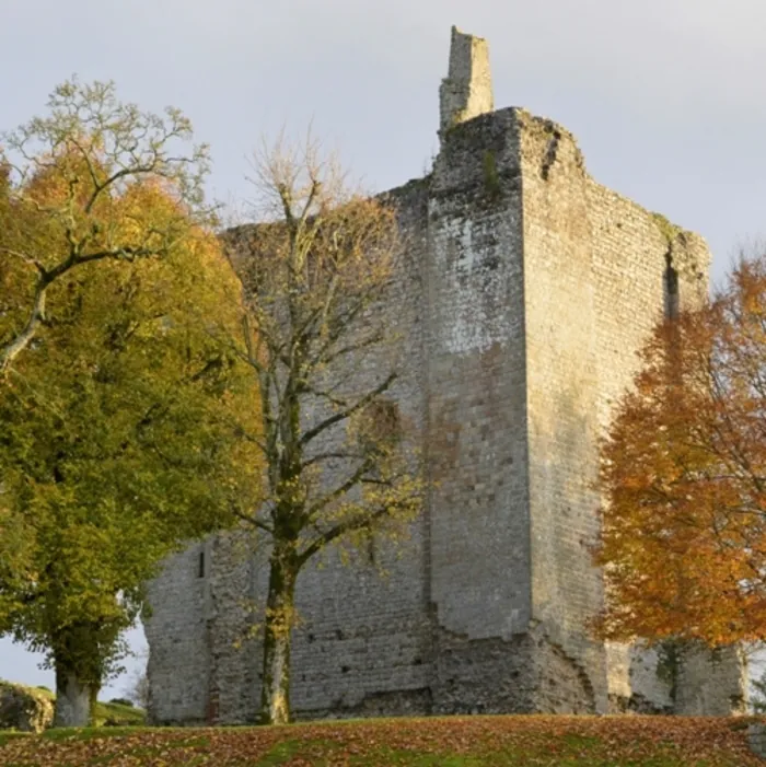 Visite guidée du château Château de Domfront (ORNE) Domfront en Poiraie