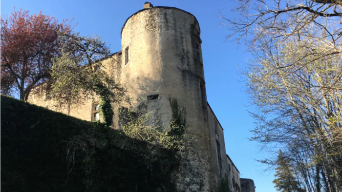 « Rêveries au Château » : visites accompagnées des salles