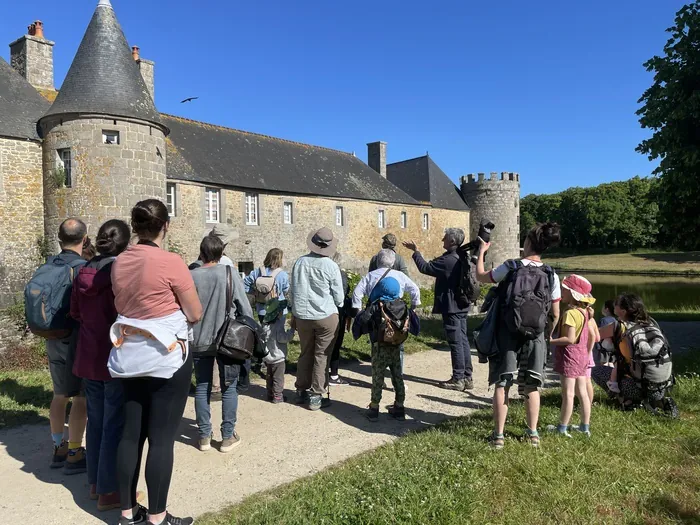 Visite guidée : sortie nature "à la découverte des oiseaux" Château de Flamanville Flamanville