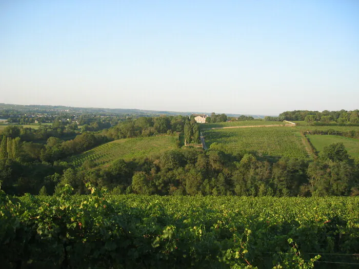 visite libre vignes et exterieurs Château de la Roche aux Moines - Coulée de Serrant Savennières