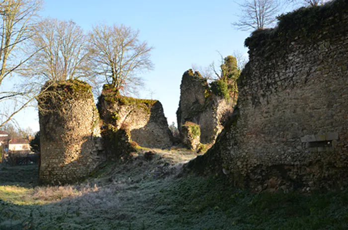 Découverte du château de Lavauguyon accompagné d'un guide Château de Lavauguyon Maisonnais-sur-Tardoire