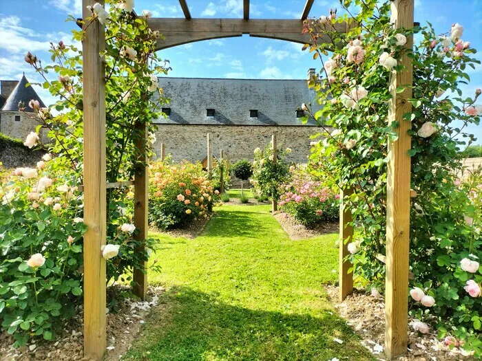 Visite libre de la roseraie David Austin Château de Montfort Remilly-sur-Lozon