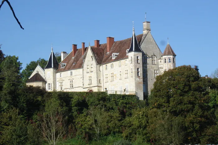 Visite guidée du château de Montrambert Château de Montrambert Dammartin-Marpain