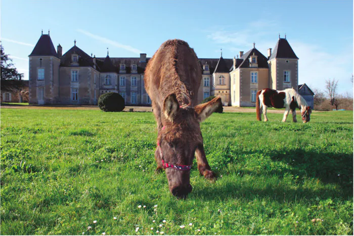 Visite costumée au Château de Panloy Château de Panloy Port-d'Envaux