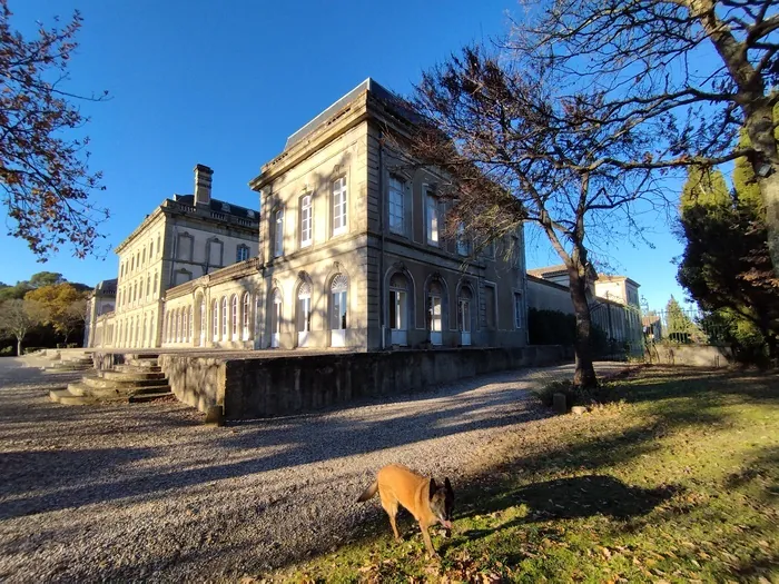 Venez découvrir le château de Pech Redon ! Château de Pech Redon Carcassonne