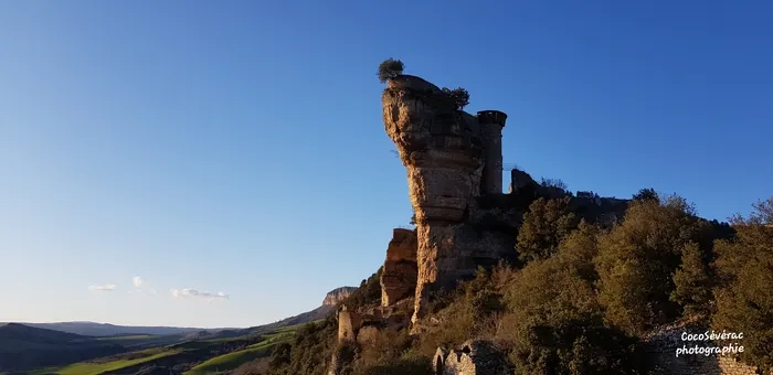 Découvrez un extraordinaire château perché Château de Peyrelade Rivière-sur-Tarn