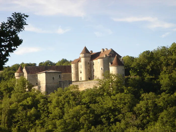 Visite d'un château médiéval commentée par son propriétaire Château de Vaillac Cœur de Causse