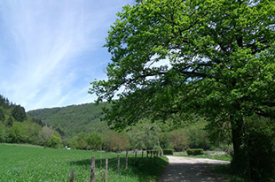 VTT Circuit de Cabanac Sainte-Eulalie-d'Olt Occitanie