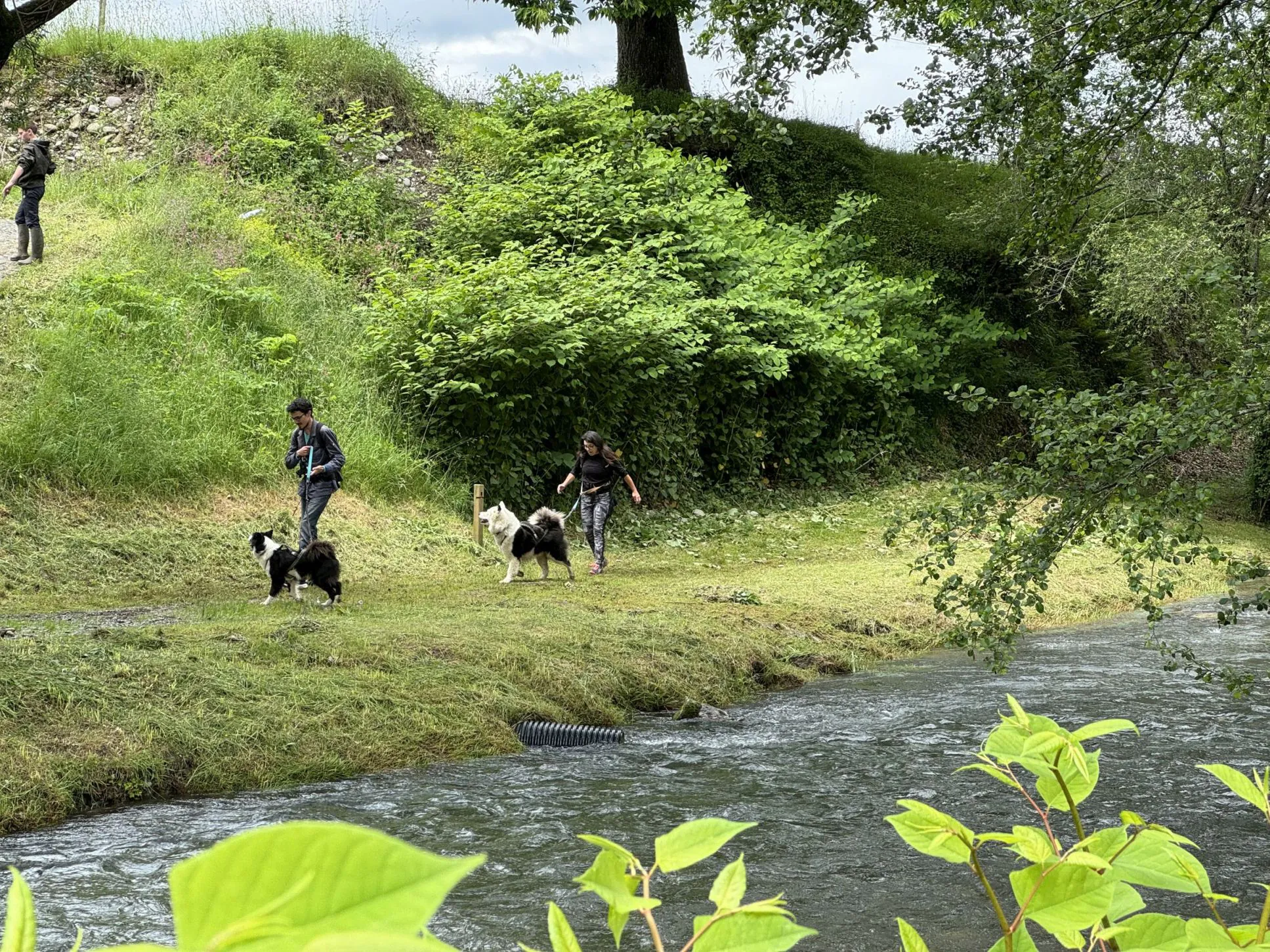 N°18 Le chemin de la transhumance Arette Nouvelle-Aquitaine