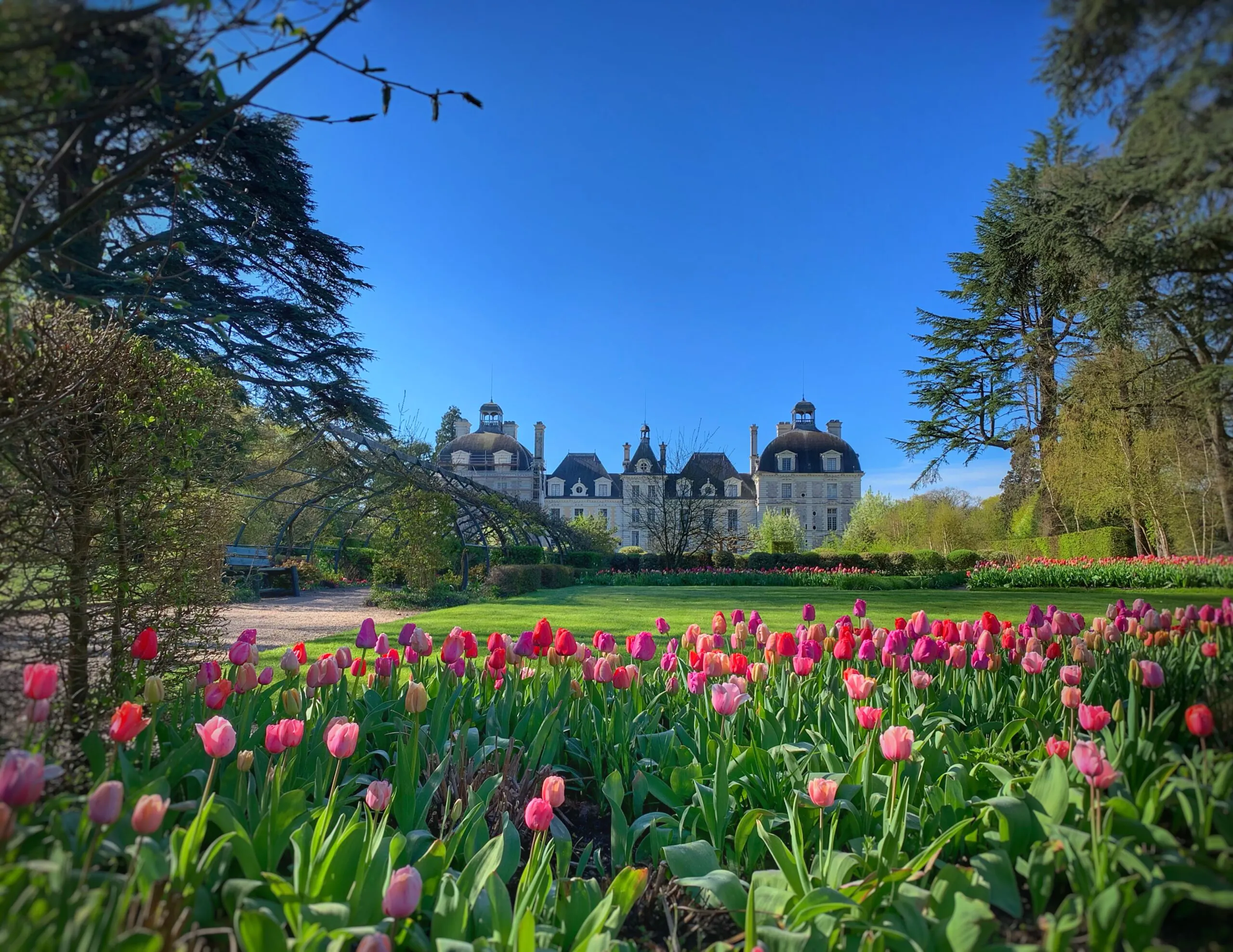 Fête des plantes au château de Cheverny