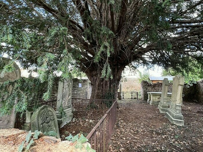 Visite libre du cimetière Cimetière protestant Basly