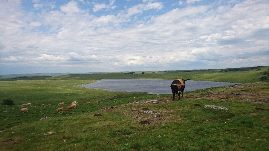 Cyclotourisme Circuit de Trélans Saint Geniez d'Olt et d'Aubrac Occitanie