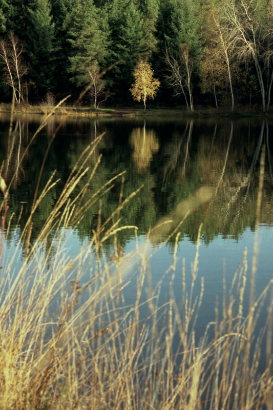 Le Plan d'Eau des Sagnes Cardaillac Occitanie