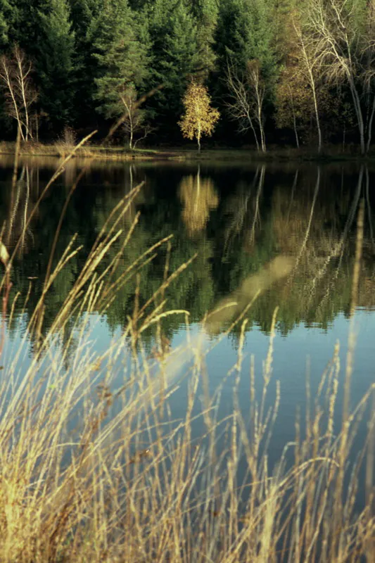 Le Plan d'Eau des Sagnes Cardaillac Occitanie