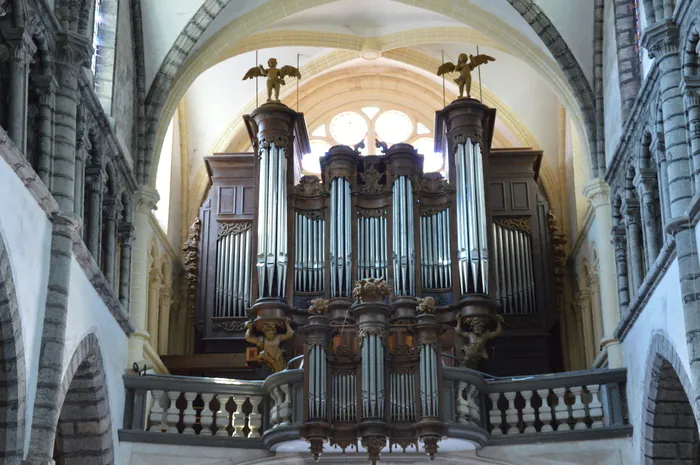 Concert d'orgue à la collégiale Saint-Anatoile de Salins-les-Bains Collégiale Saint-Anatoile Salins-les-Bains