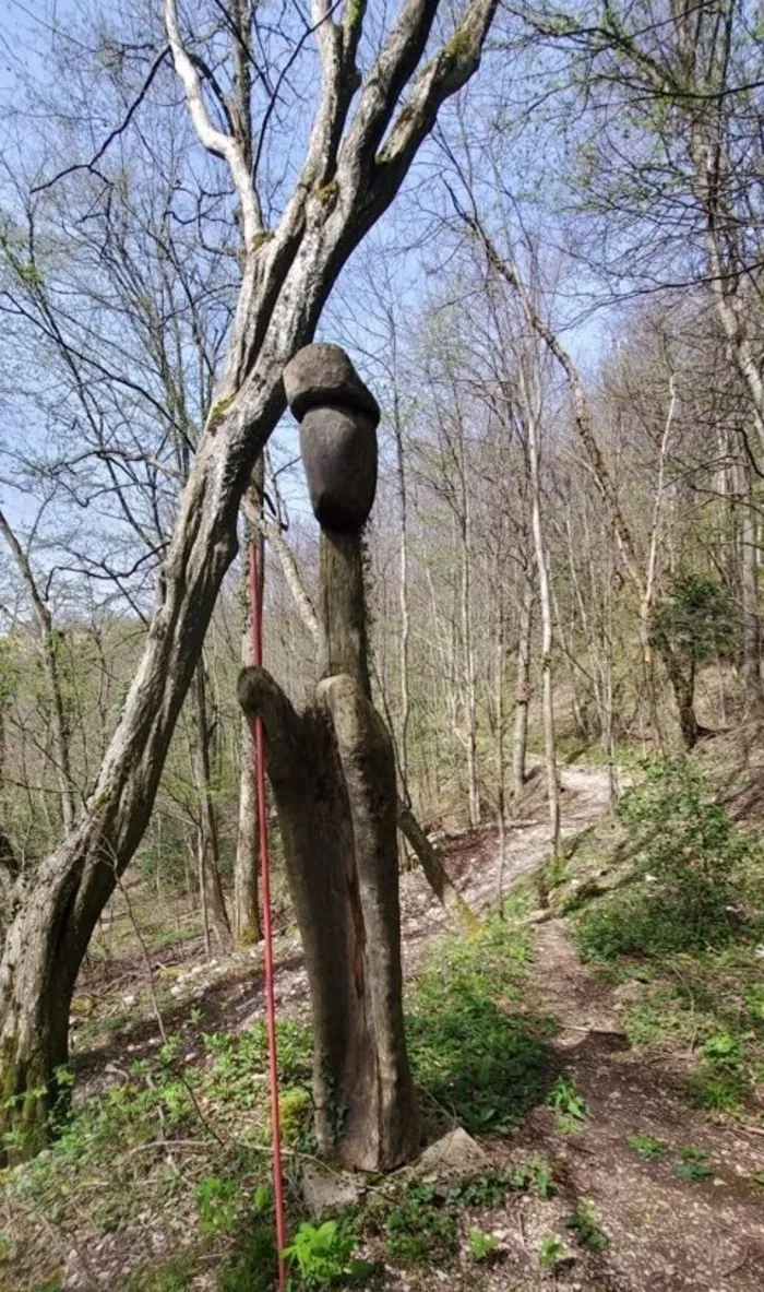 Randonnée sur le sentier artistique de Côte Curt Distillerie des Pères Chartreux - Fourvoirie - 38380 Saint Laurent du Pont Saint-Laurent-du-Pont