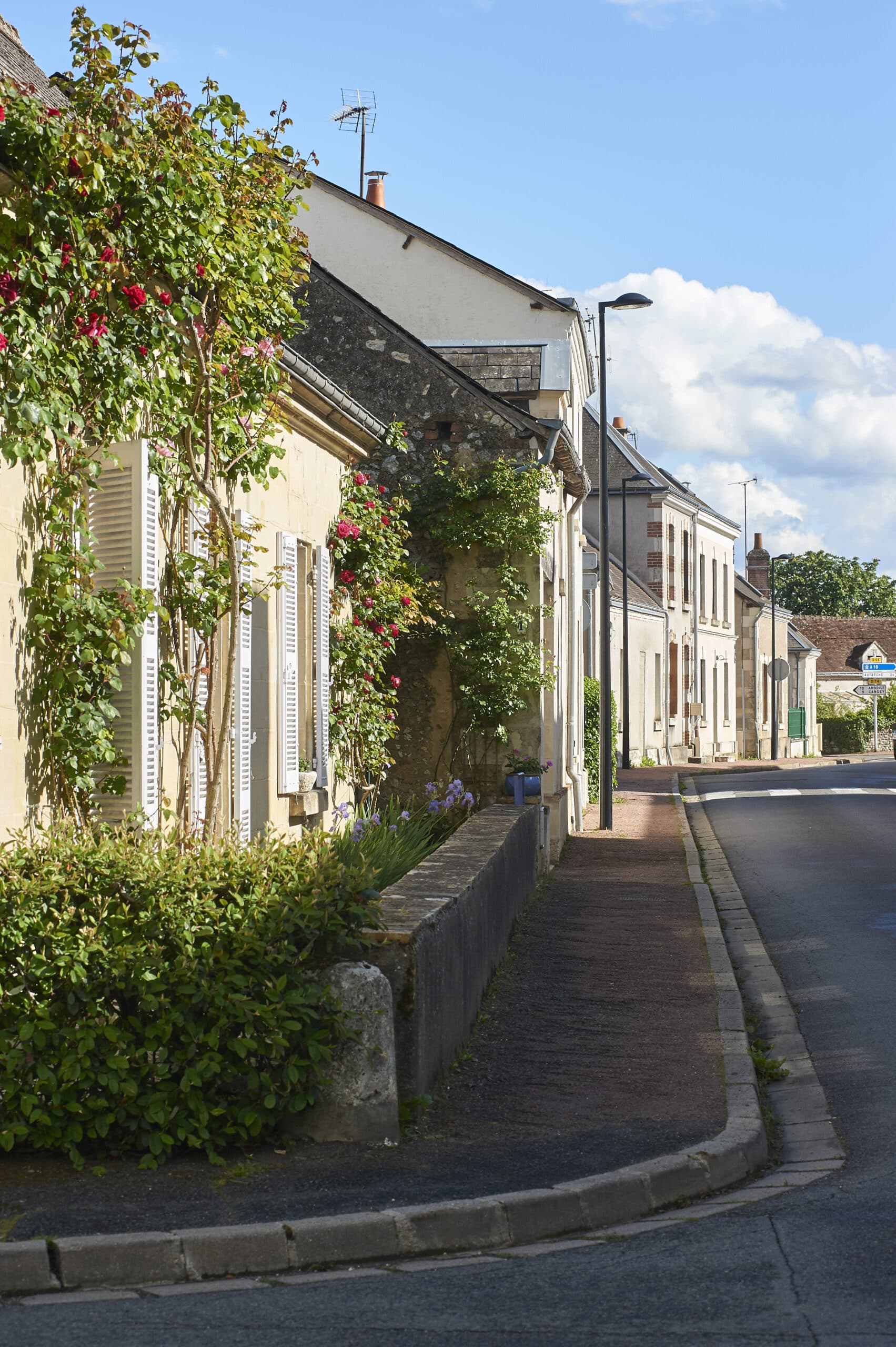 Randonnée à Dame-Marie-les-Bois La ronde des Donnamariens Dame-Marie-les-Bois Centre-Val de Loire
