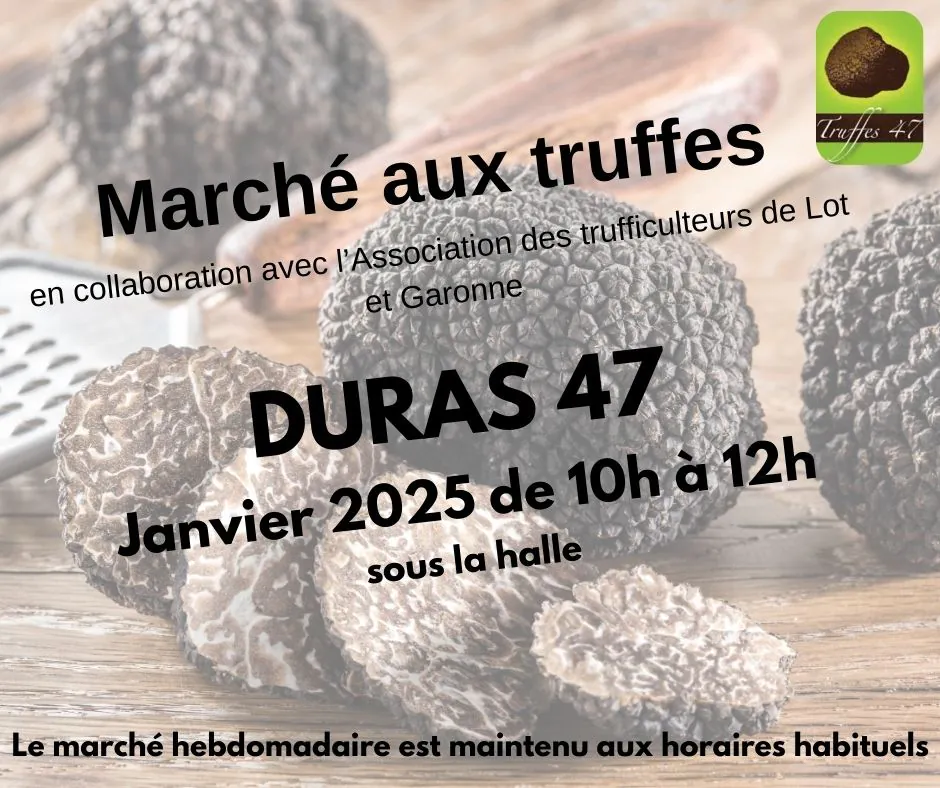 Marché aux truffes à confirmer en janvier 2025