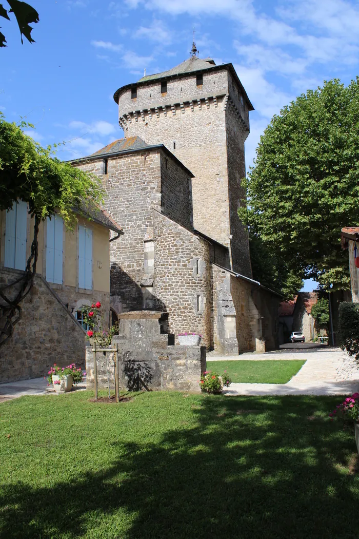 Prenez de la hauteur à l'église Sainte-Croix ! Église Sainte-Croix Sainte-Croix