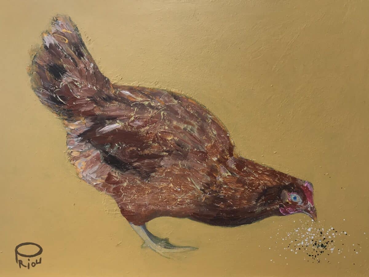 expo Rencontres des Poucets