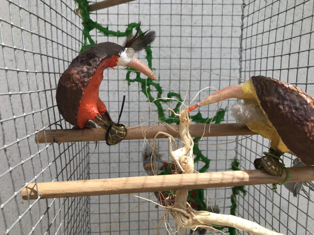 expo Rencontres des Poucets