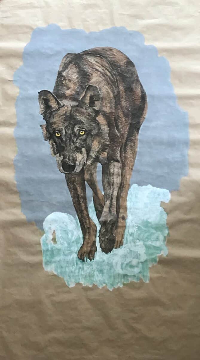 Expo Rencontres des Poucets