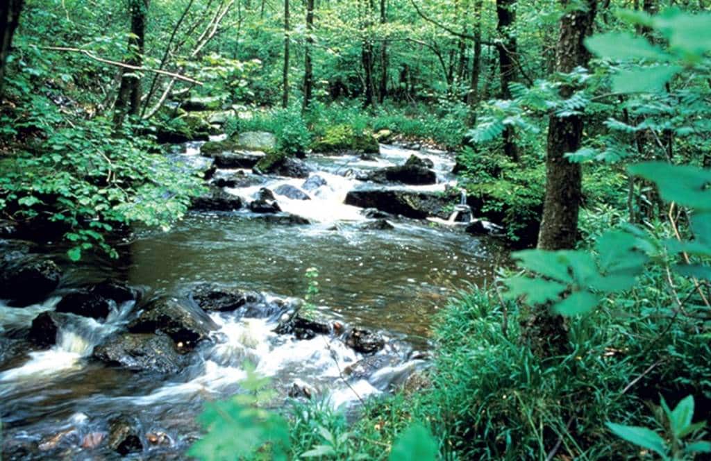 Boucle à cheval au départ de Floing Floing Grand Est