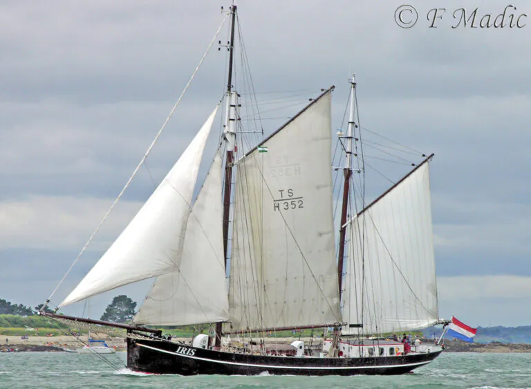 Fêtes maritimes Brest