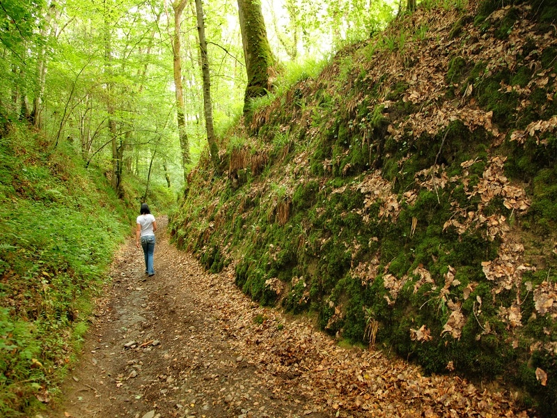 Le coupe gorge Mutrécy Normandie