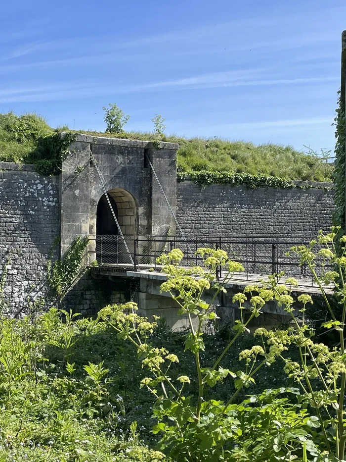 Visites commentées du fort de l'Île Madame et accès au belvédère ! Fort de l'île Madame Port-des-Barques