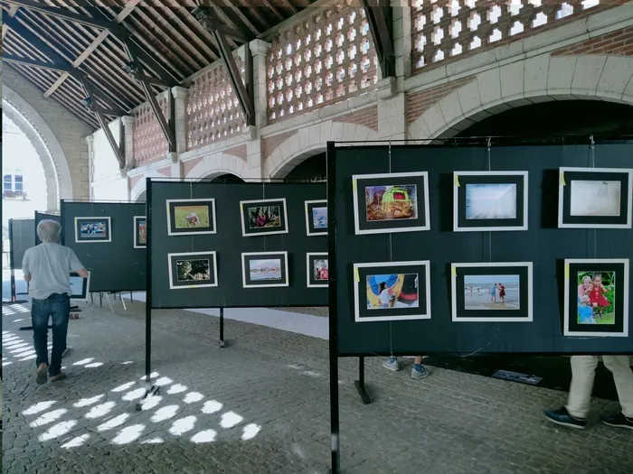 Venez assister à une exposition : « rencontres photographiques