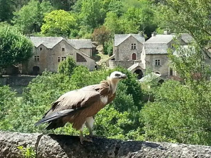 Visite du Hameau de la Croze Hameau de la Croze La Malène