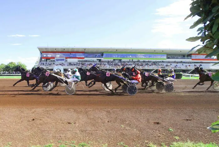 Découvrir l'hippodrome de Lyon-Parilly et les courses de trotteurs Hippodrome de Parilly Bron