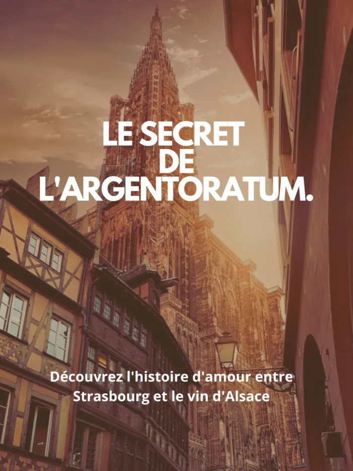 Escape game: le secret de l'argentoratum Hôtel du département Strasbourg