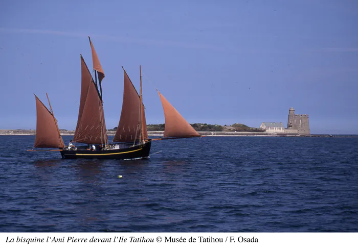 Levez les yeux ! Les enfants à Tatihou Île Tatihou Saint-Vaast-la-Hougue