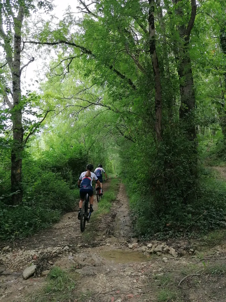 Circuit VTT n°12 Saint-Sardos Saint-Sardos Nouvelle-Aquitaine