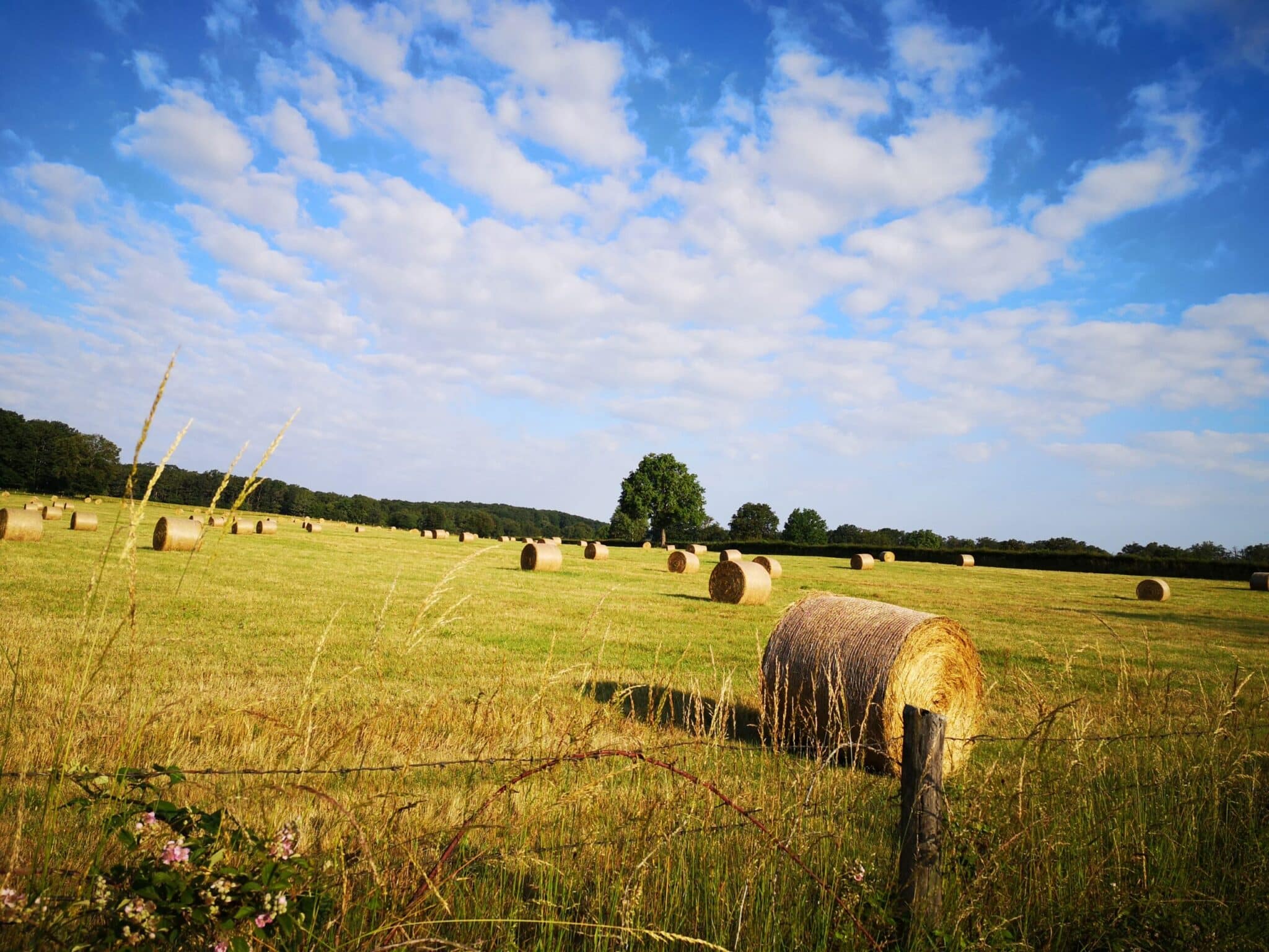 Circuit pédestre n°44 "De village en village" Thevet-Saint-Julien Centre-Val de Loire
