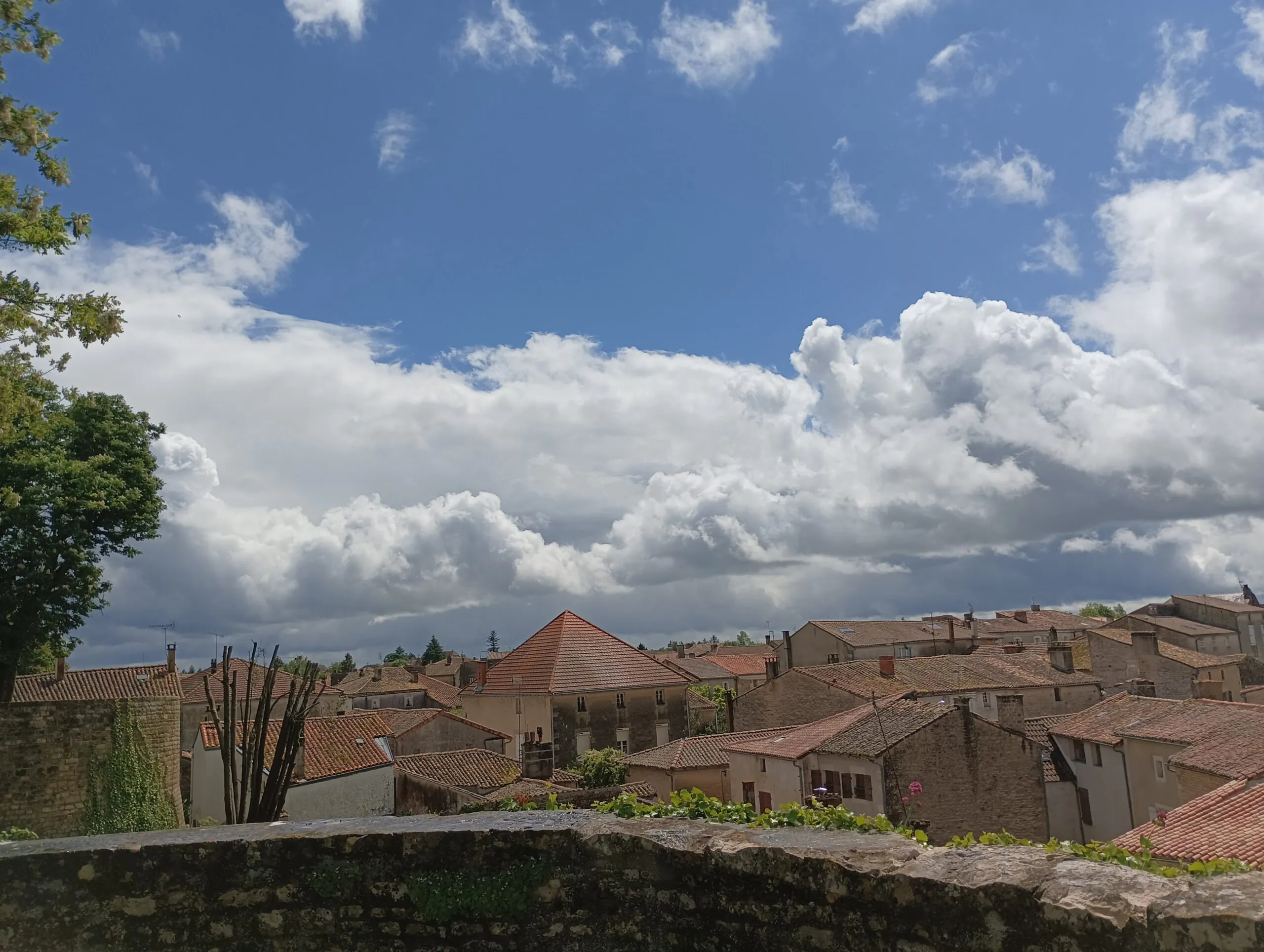 Aux sources de la Boutonne Chef-Boutonne Chef-Boutonne Nouvelle-Aquitaine